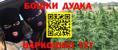 сатива Краснодар