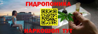 сатива Краснодар