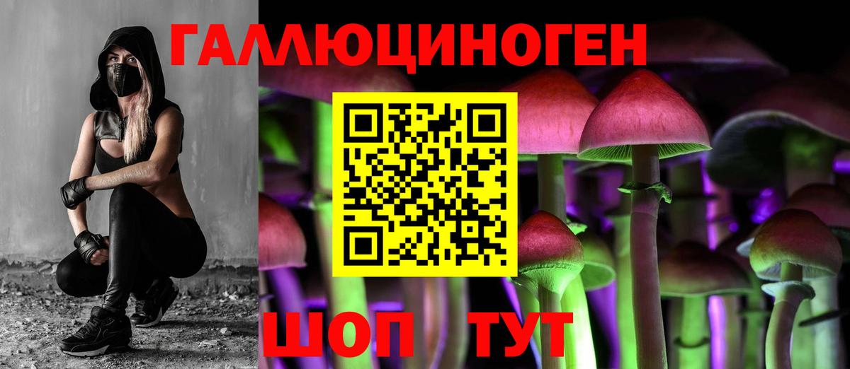 Йошкар-Ола  Галлюциногенные грибы мицелий  Вход с VPN 