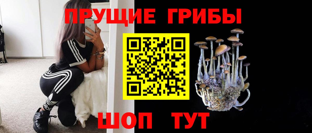 А ПВП Йошкар-Ола