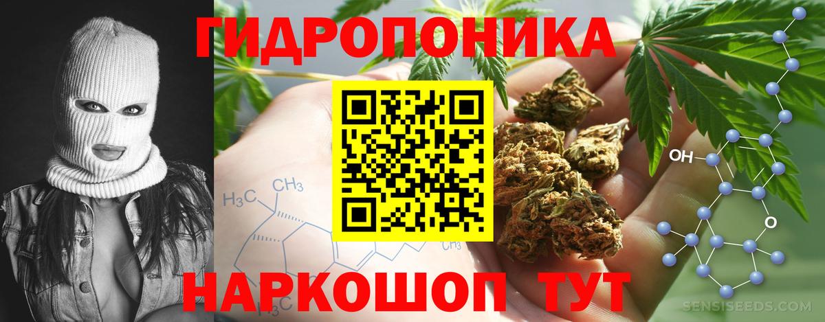 Шишки марихуана ГИДРОПОН  Шишки марихуана AK-47  Вход с VPN  Йошкар-Ола  МАРИХУАНА индика 